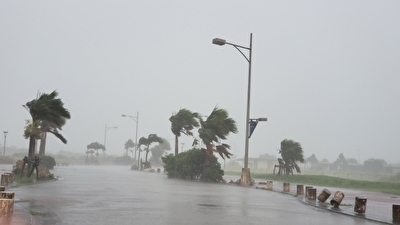 hit by typhoon.jpg